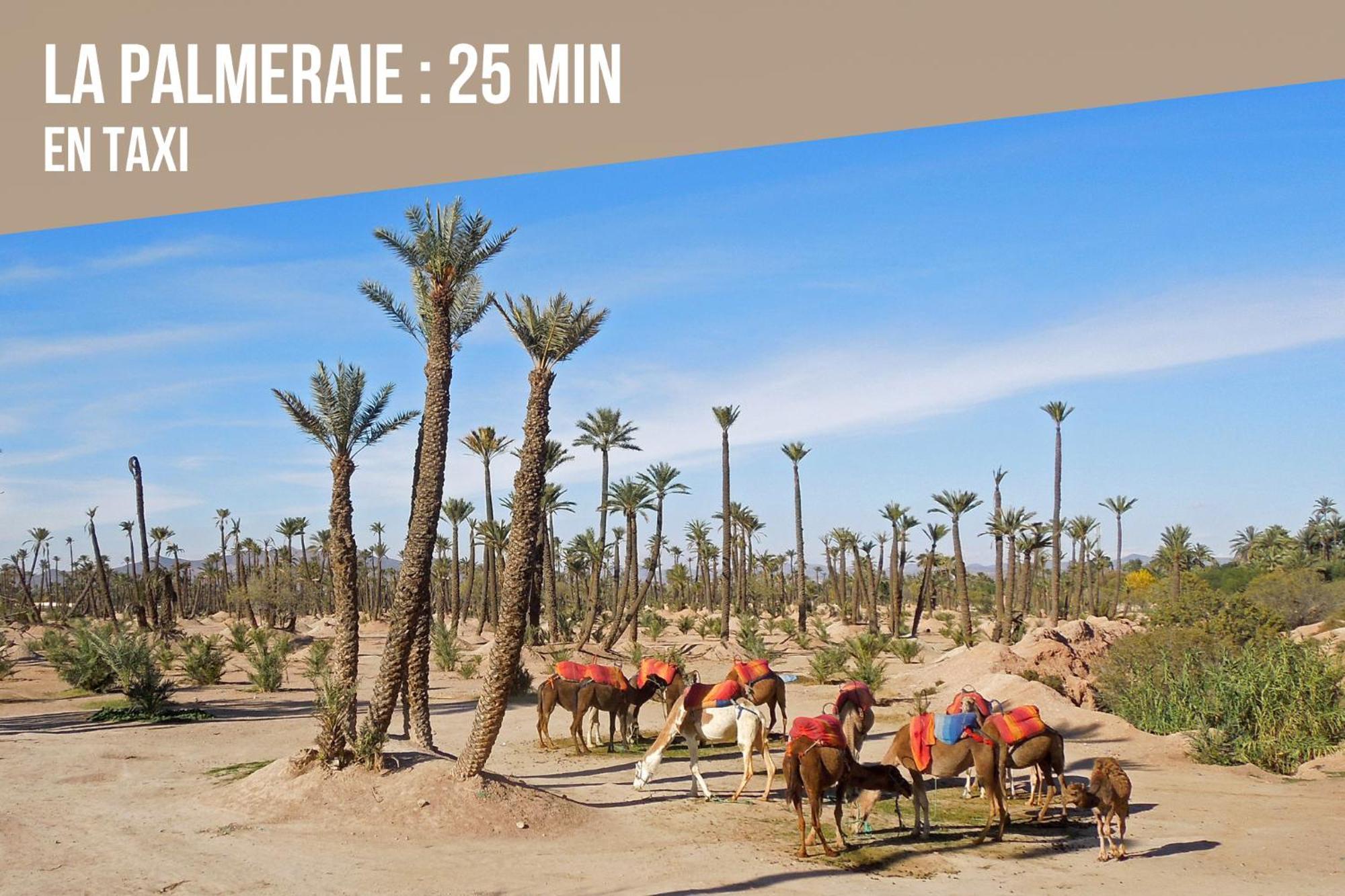 Magnifique Appartement Moderne De 2 Chambres Avec Piscine A 10 Min Du Centre De Marrakech マラケシュ エクステリア 写真